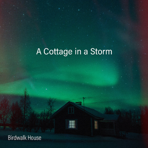 荷兰肉体裸交做爰视频
