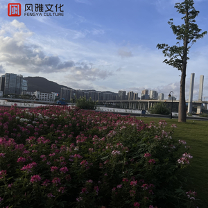 荷兰肉体裸交做爰视频
